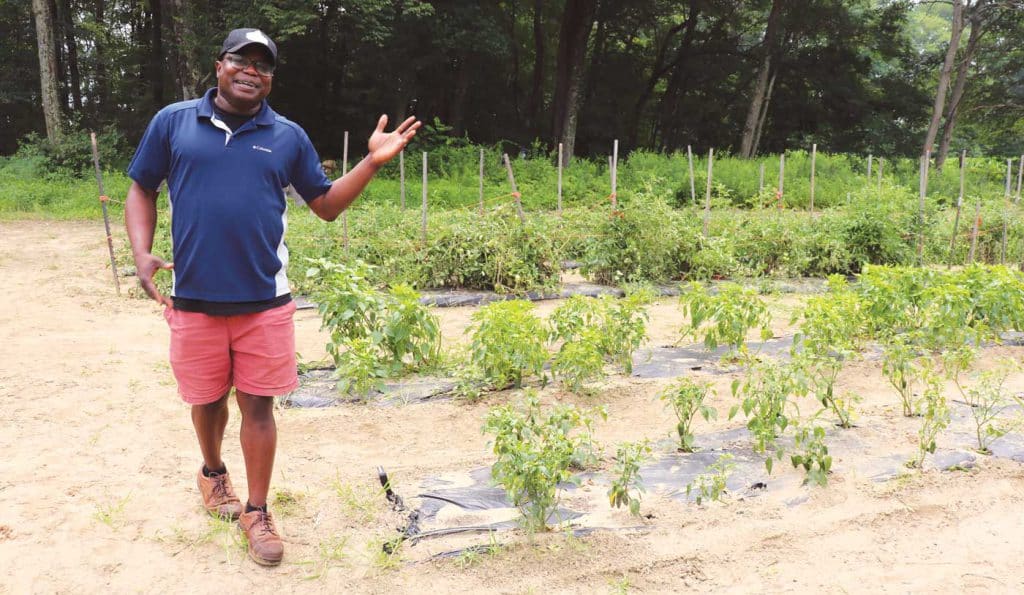 Shawn Robinson ’05 at Prospect Meadow Farm