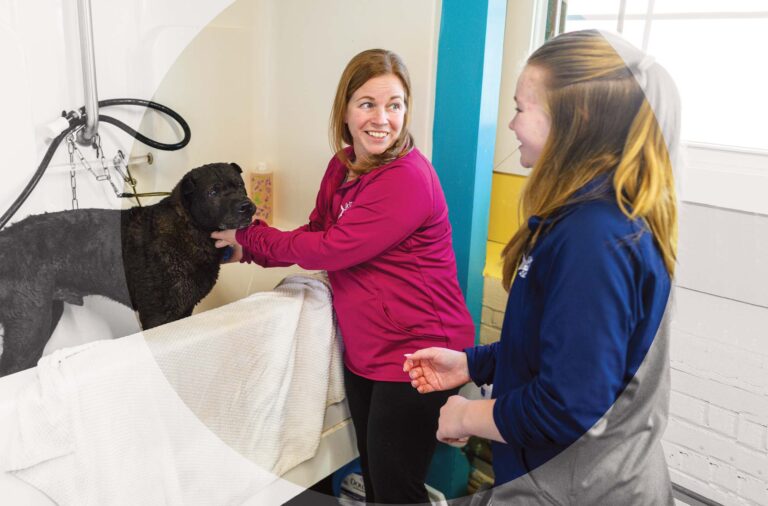 Staples checks in at The Good Dog Spot dog spa.
