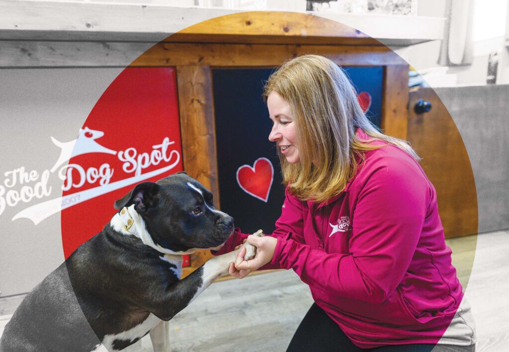 Staples works with her dog, North, at The Good Dog Spot.