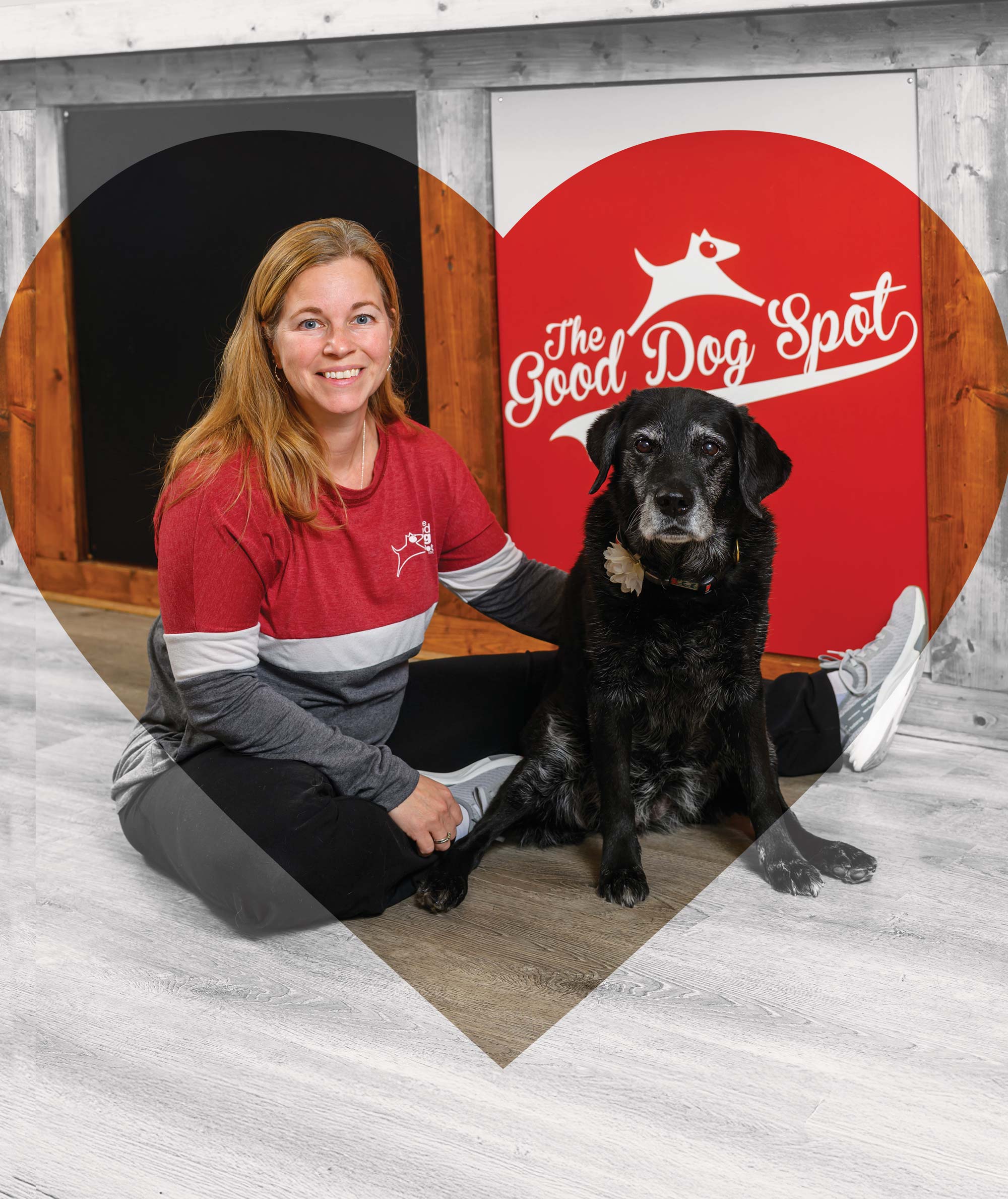 For the Love of Dogs